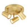 Harvey Spot 3lt Plate SatBrass