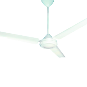 Ceiling Fans