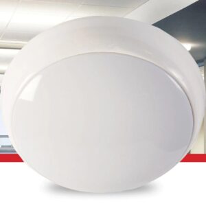 Indoor Ceiling light