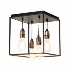 Dexter Industrial Box flush light